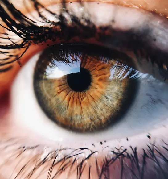 Step-by-Step Corneal Transplant Procedure