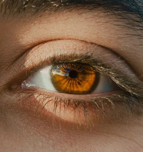 Medication and Eye Drops for Glaucoma Management
