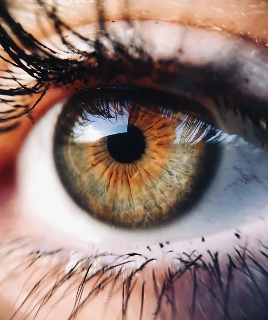Eligibility Criteria for Oculoplastic Surgery Patients